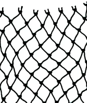 210/48 x 1-7/16in x 290md Prawn Web (sold by the foot)