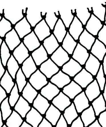 210/48 x 1-7/16in x 290md Prawn Web (sold by the foot)