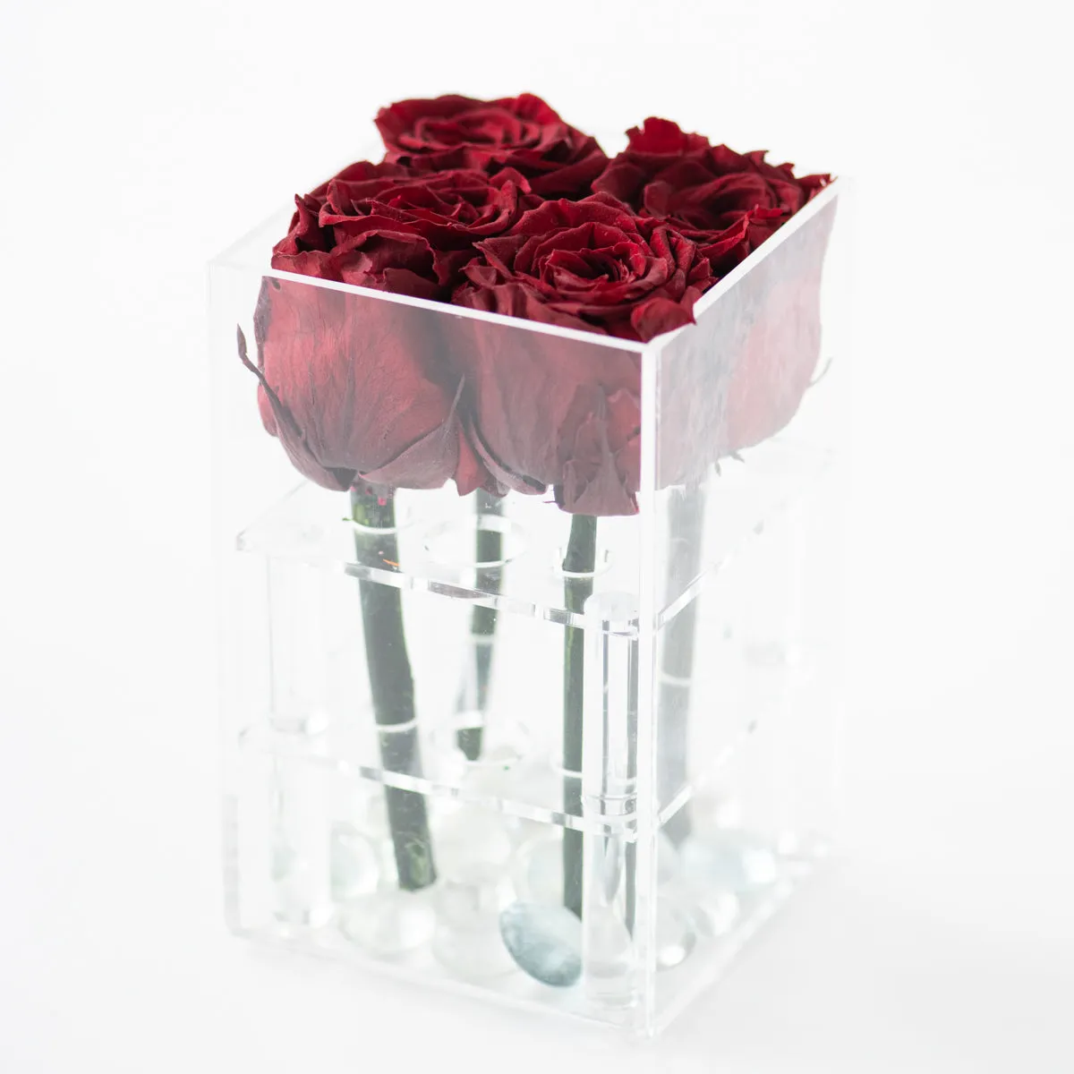 4 Roses Preserved
