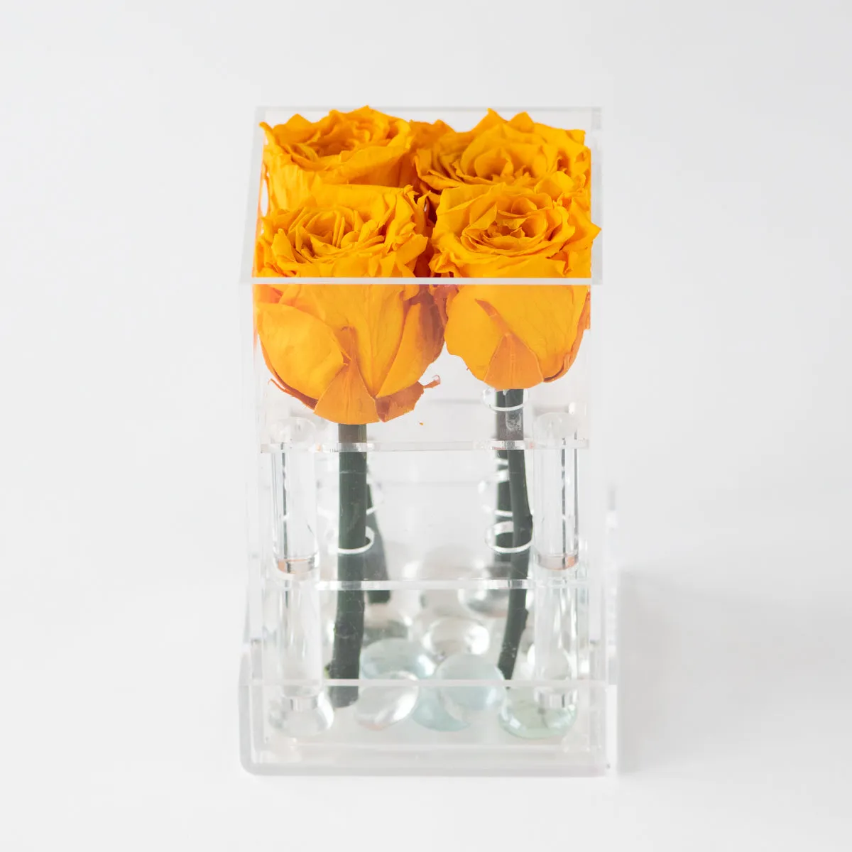 4 Roses Preserved