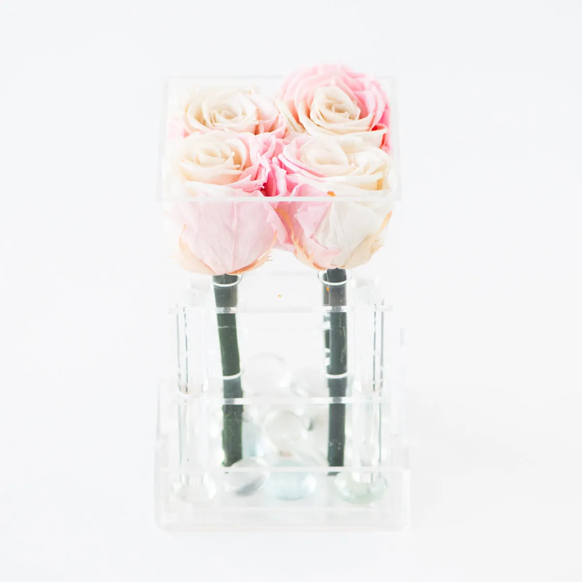4 Roses Preserved