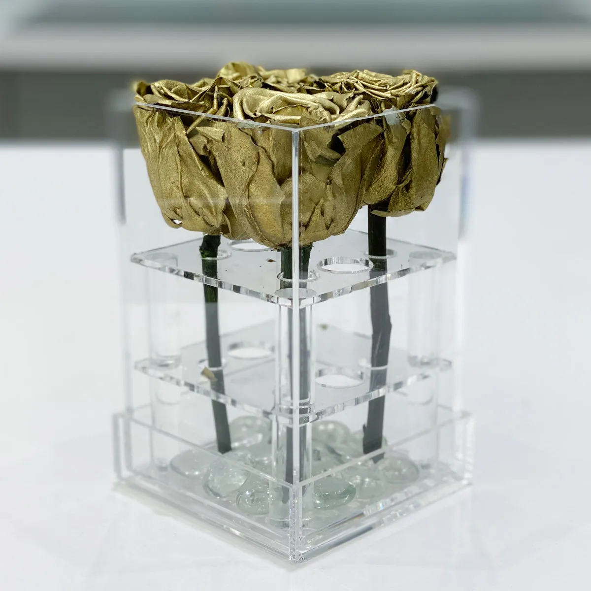 4 Roses Preserved