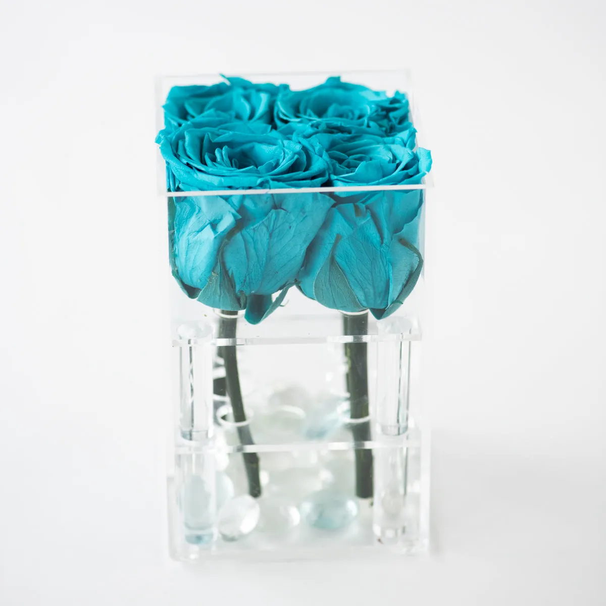 4 Roses Preserved