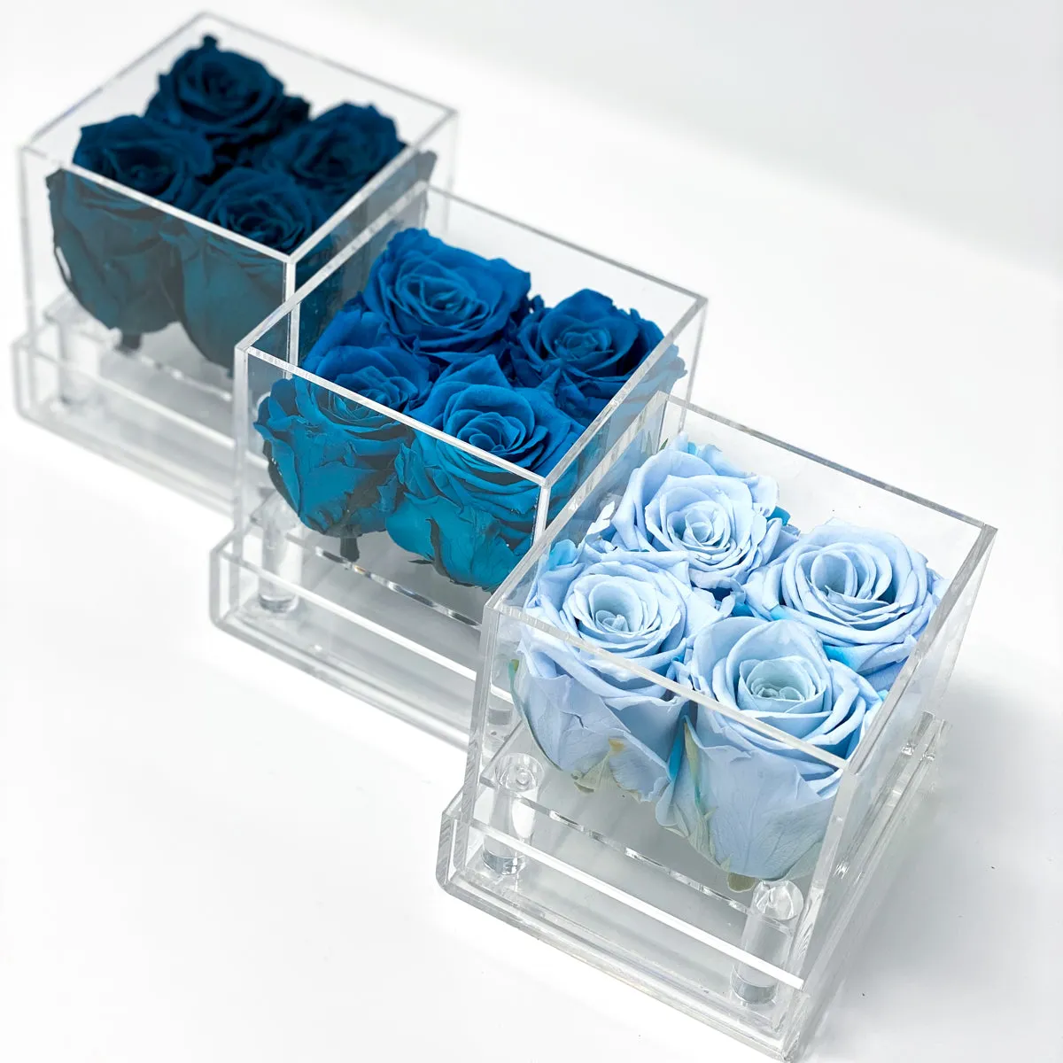 4 Roses Preserved