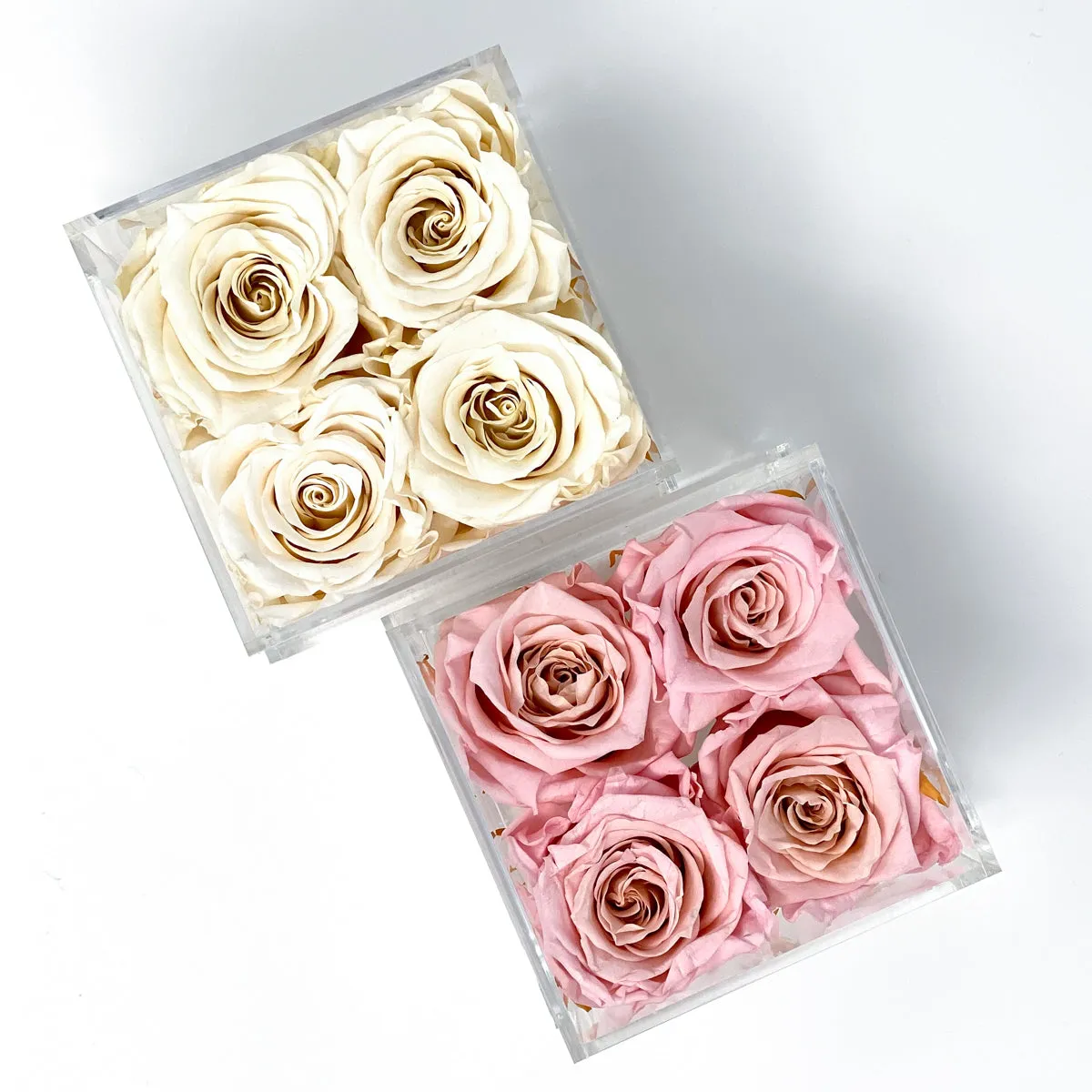 4 Roses Preserved
