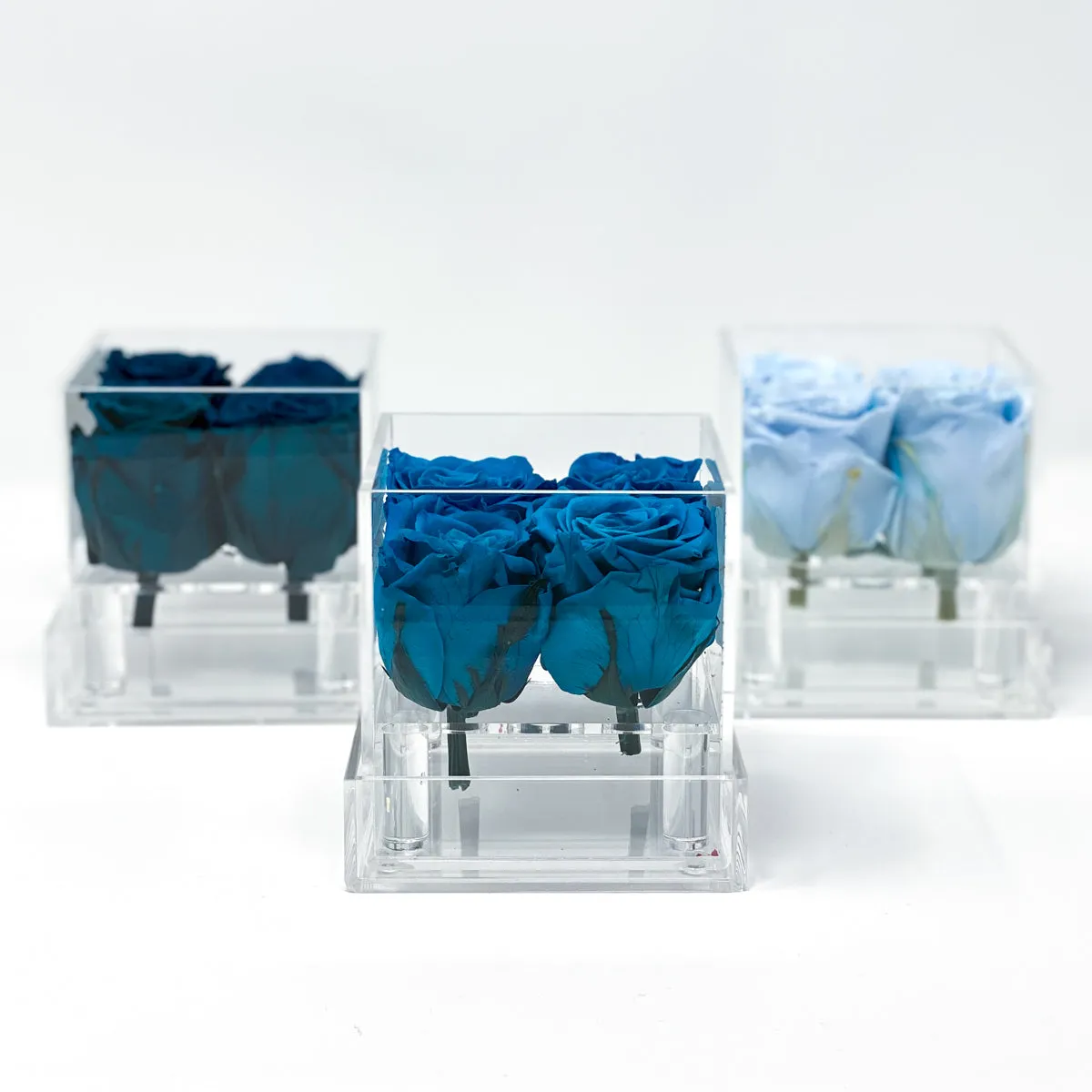 4 Roses Preserved