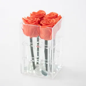 4 Roses Preserved