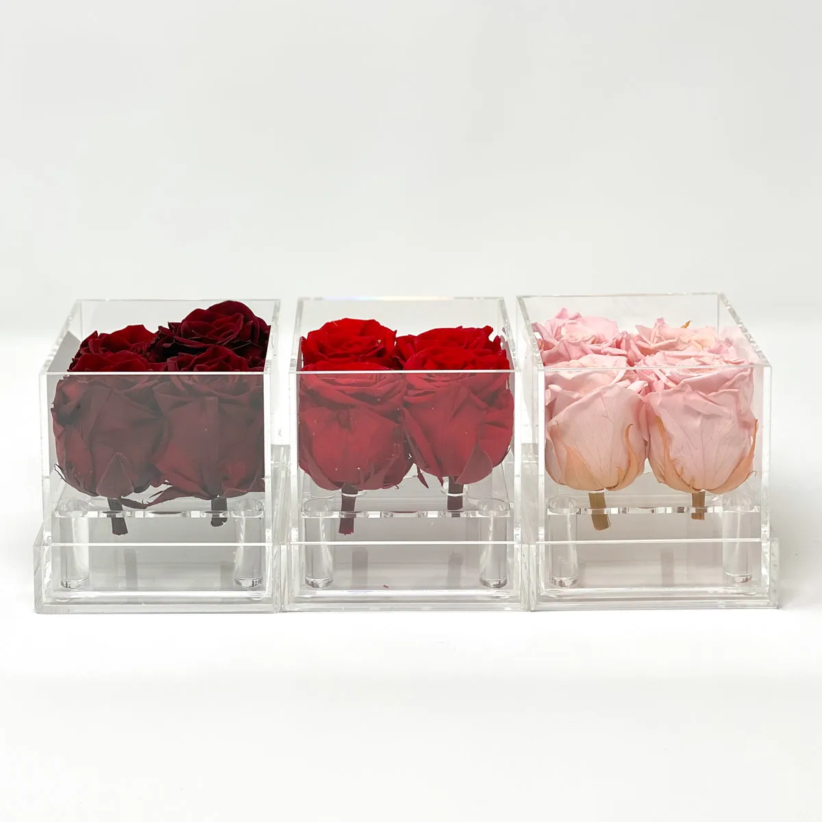 4 Roses Preserved
