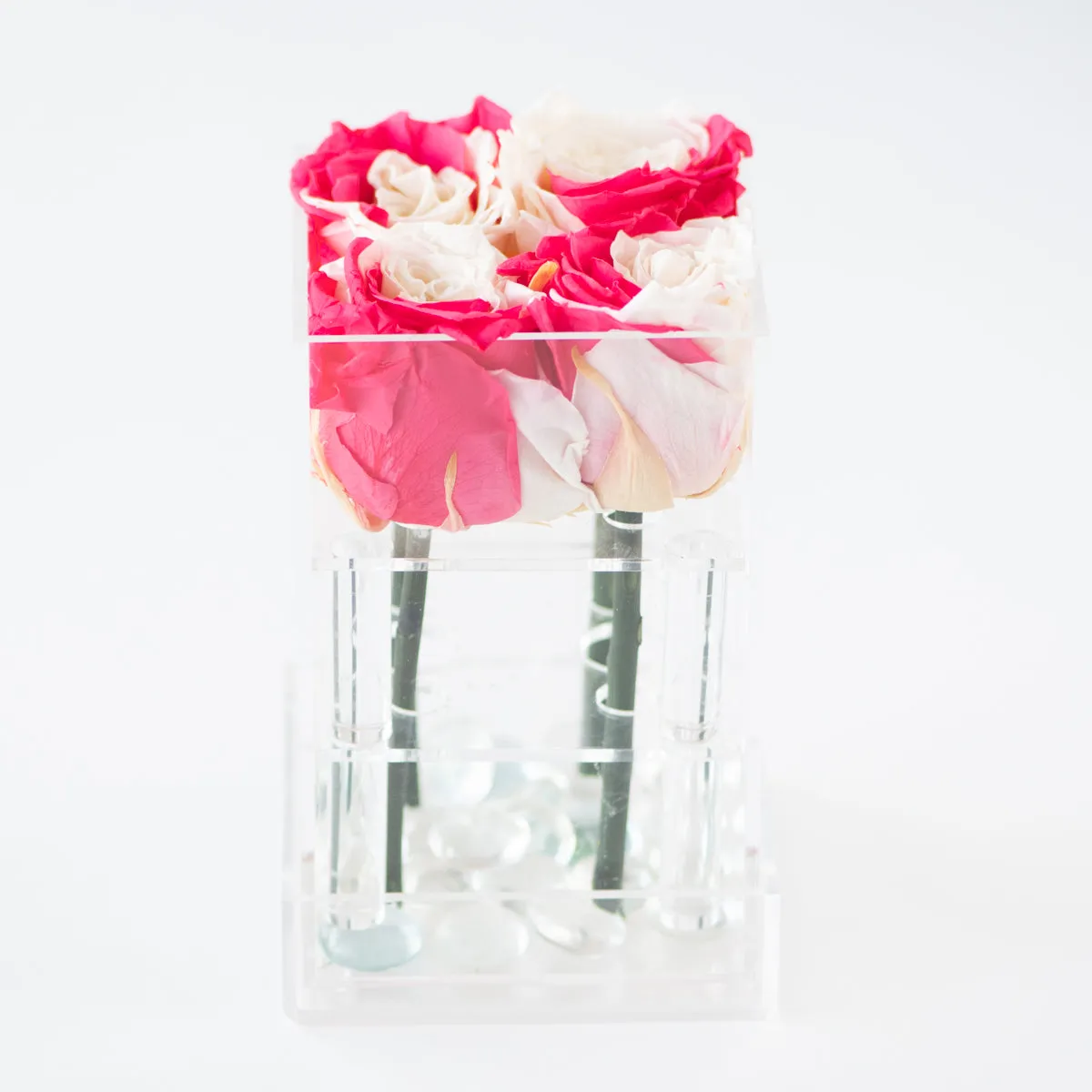 4 Roses Preserved