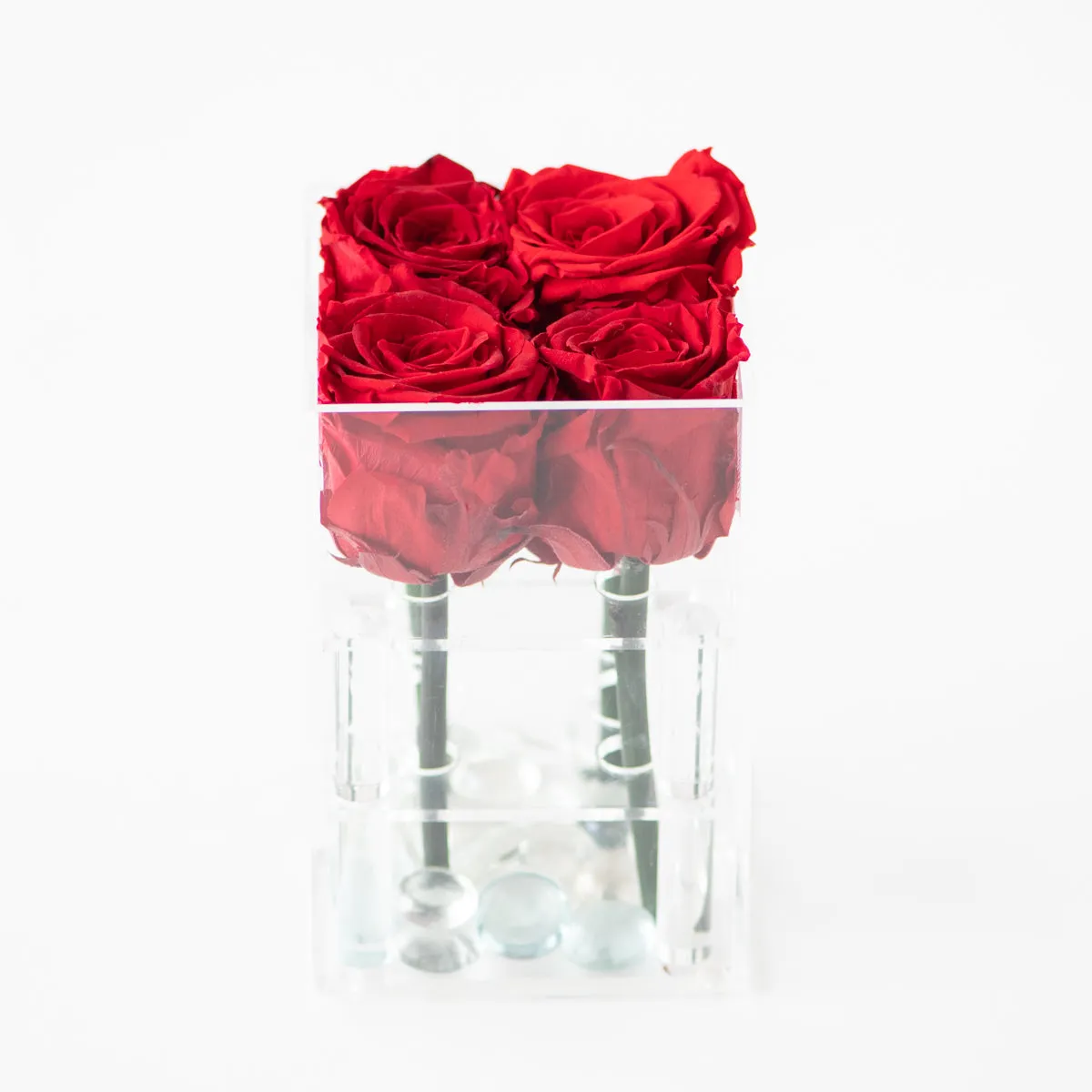 4 Roses Preserved
