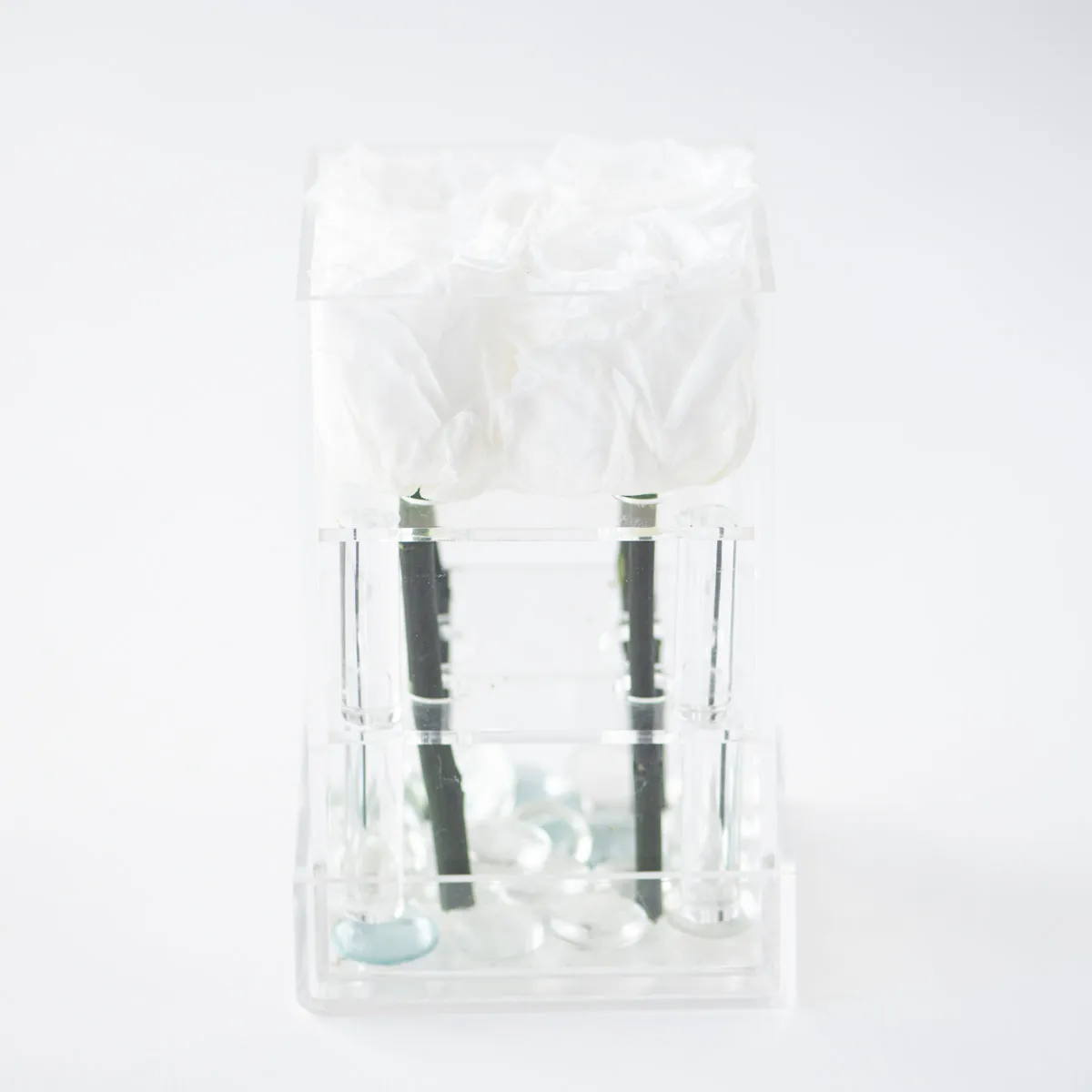 4 Roses Preserved