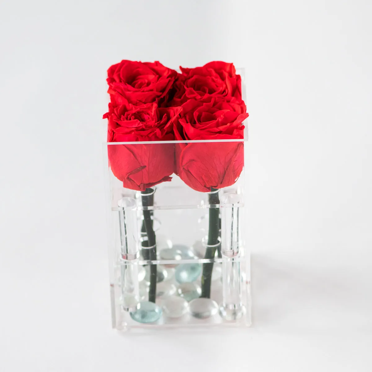 4 Roses Preserved