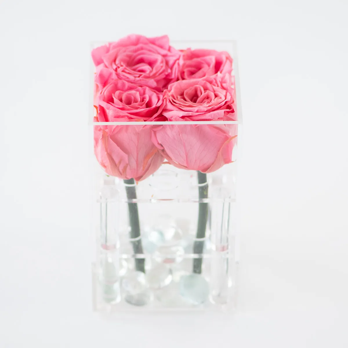 4 Roses Preserved