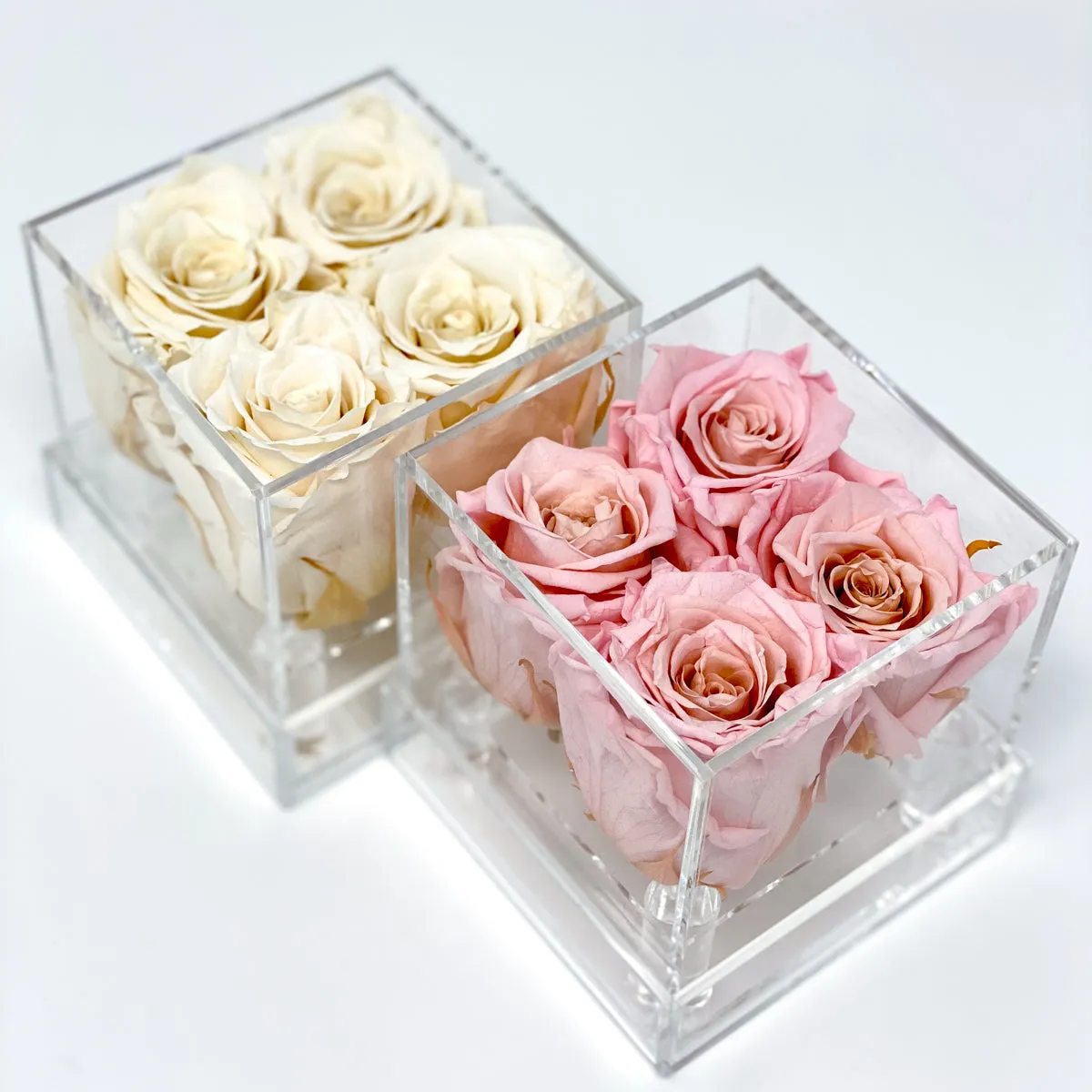 4 Roses Preserved