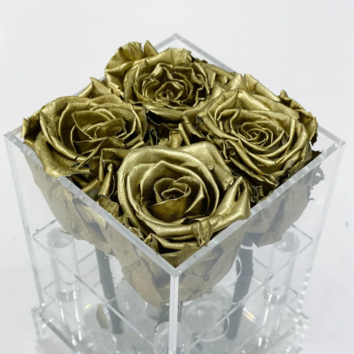 4 Roses Preserved