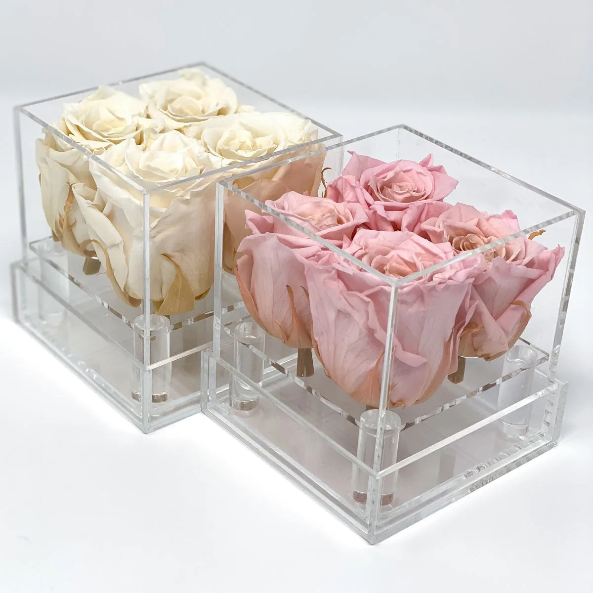 4 Roses Preserved