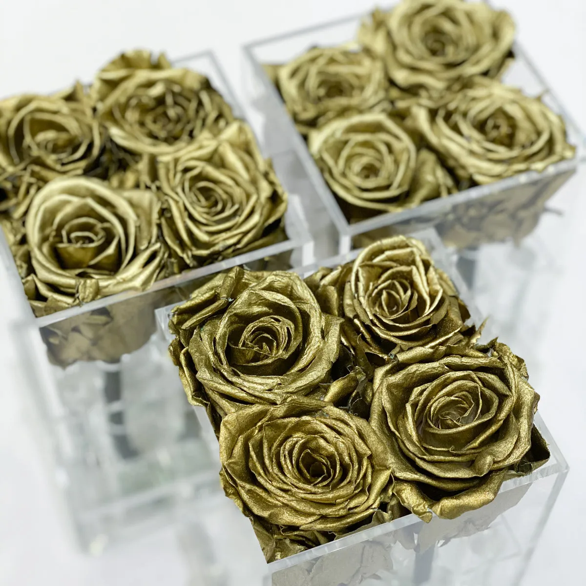 4 Roses Preserved