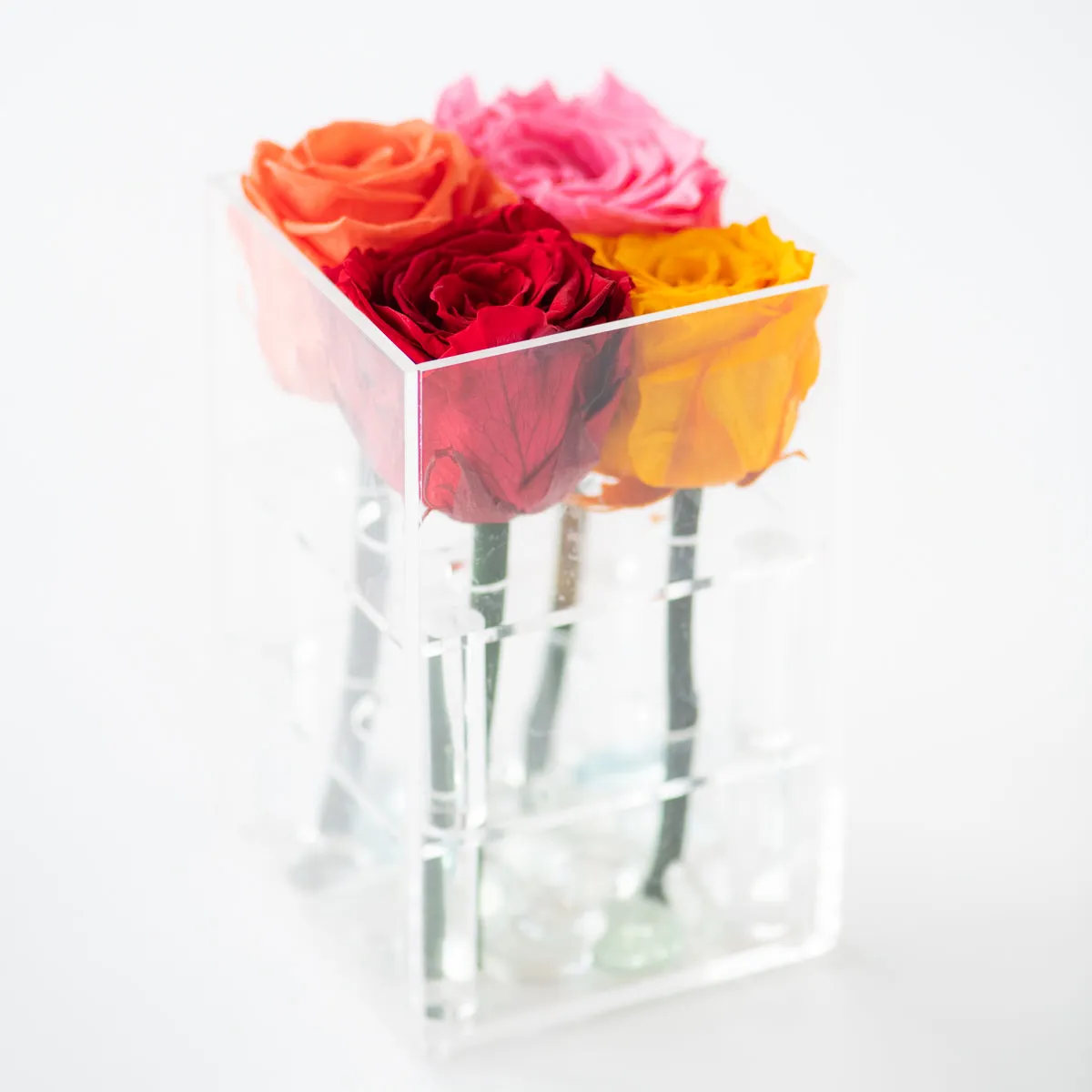 4 Roses Preserved