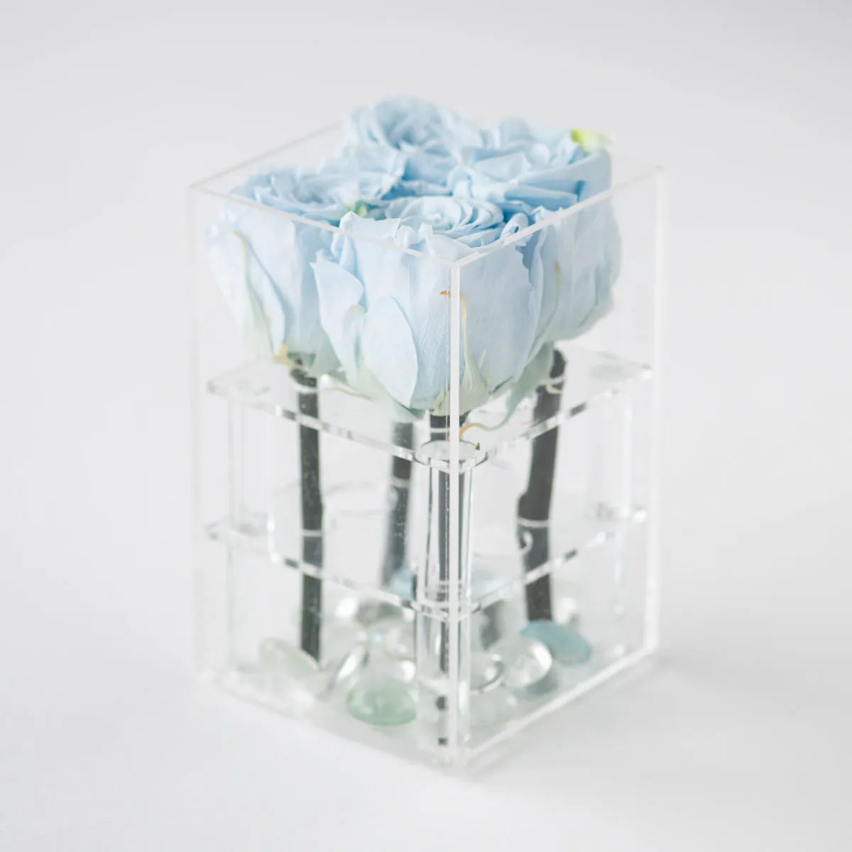 4 Roses Preserved