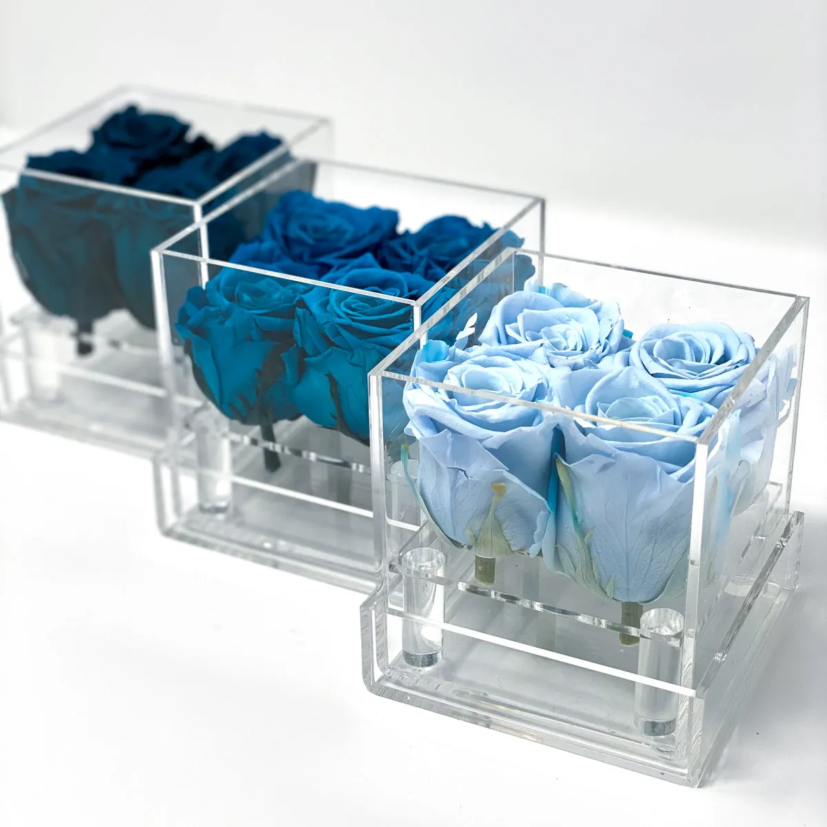 4 Roses Preserved