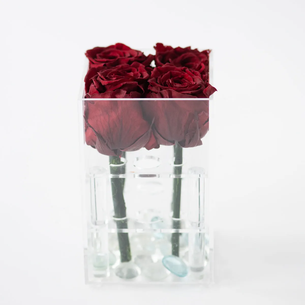 4 Roses Preserved