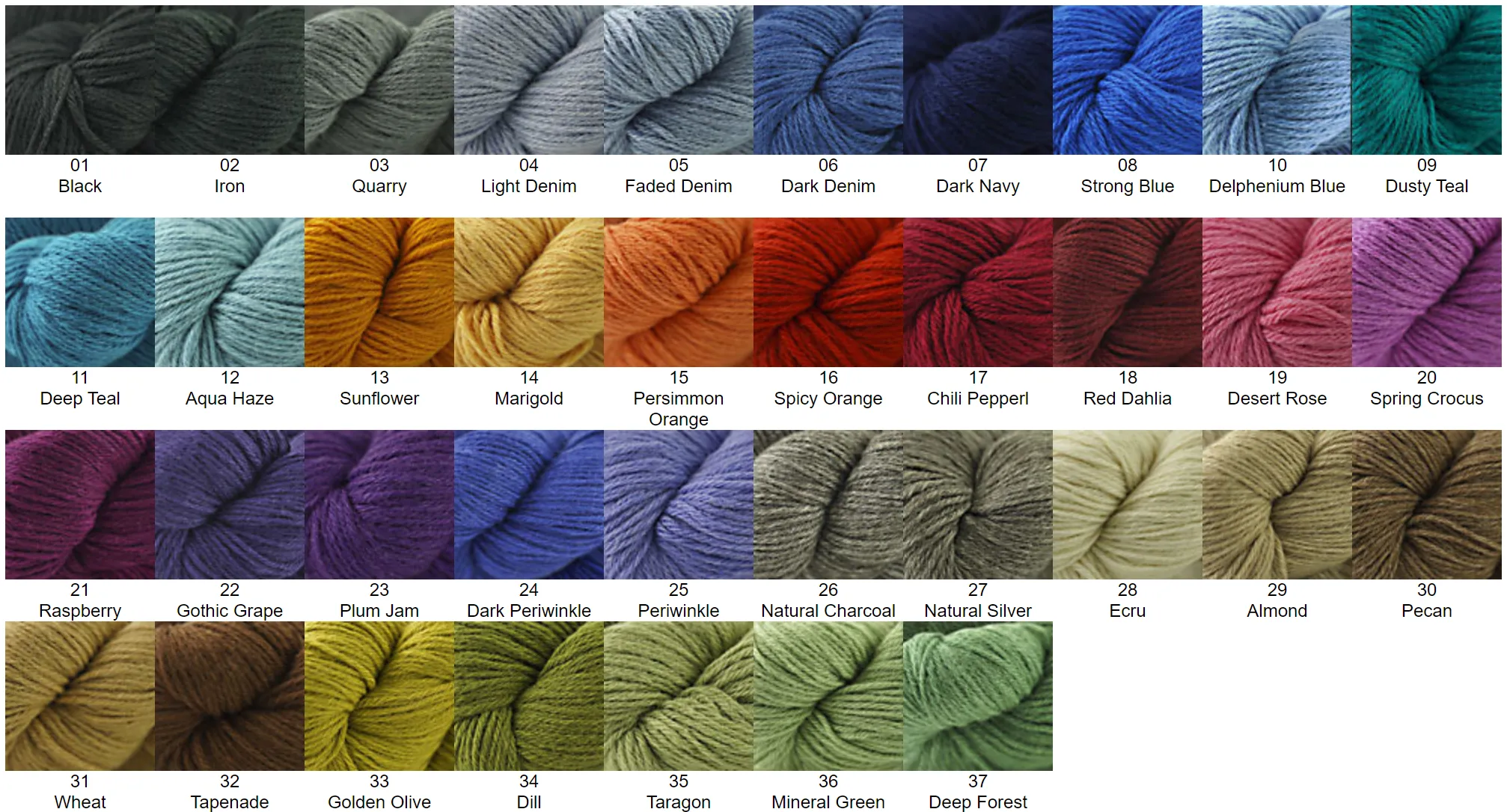 Andean Dream Worsted Yarn