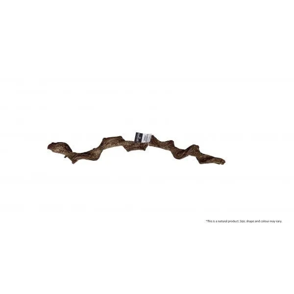 Bioscape Twisted Vine 60cm Diameter 3-4cm