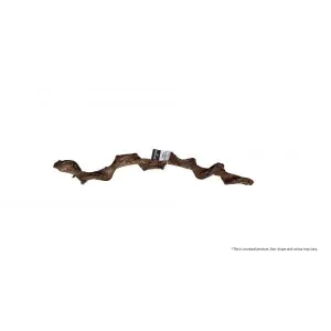 Bioscape Twisted Vine 60cm Diameter 3-4cm