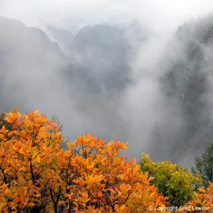 Black Canyon Of The Gunnison