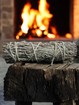 Blue Sage - 4 inch Bundle