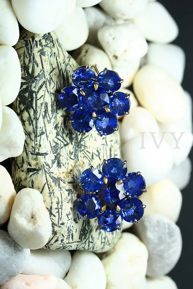 Blue Sapphire Full Circle Earrings