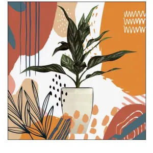 Boho House Plant 327