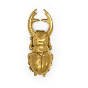 Brass Beetle Bottle Opener