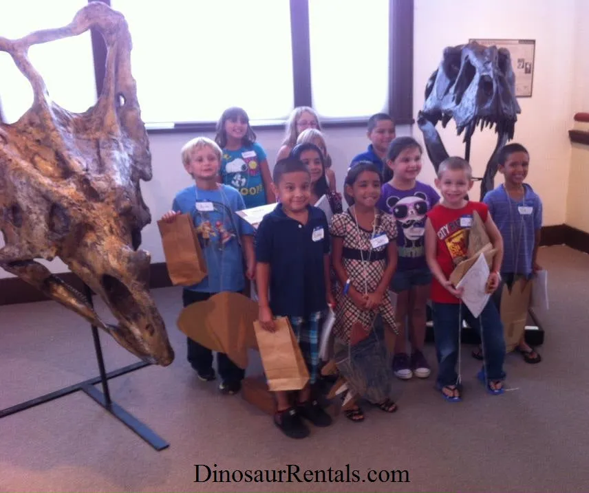 Chasmosaurus Skull cast replica dinosaur skull