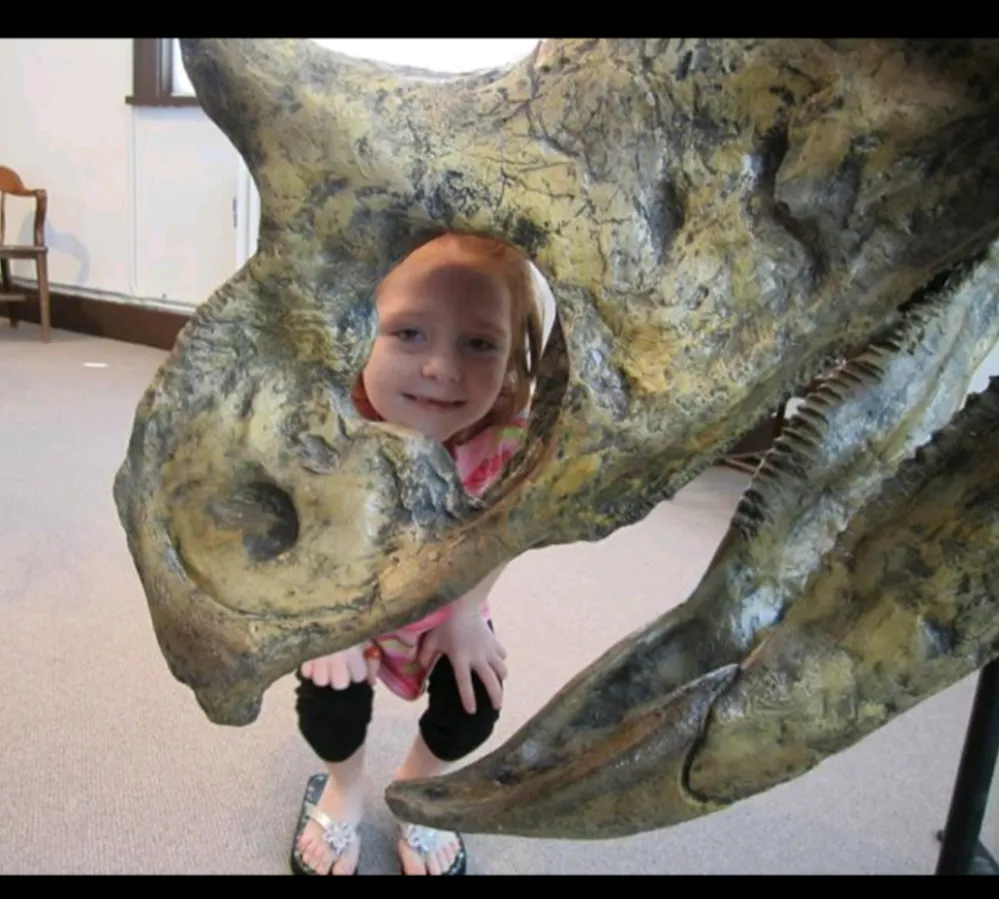 Chasmosaurus Skull cast replica dinosaur skull