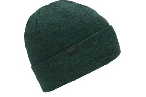 COAL THE MESA BEANIE FOREST GREEN