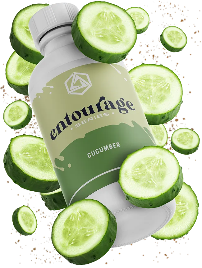 Cucumber