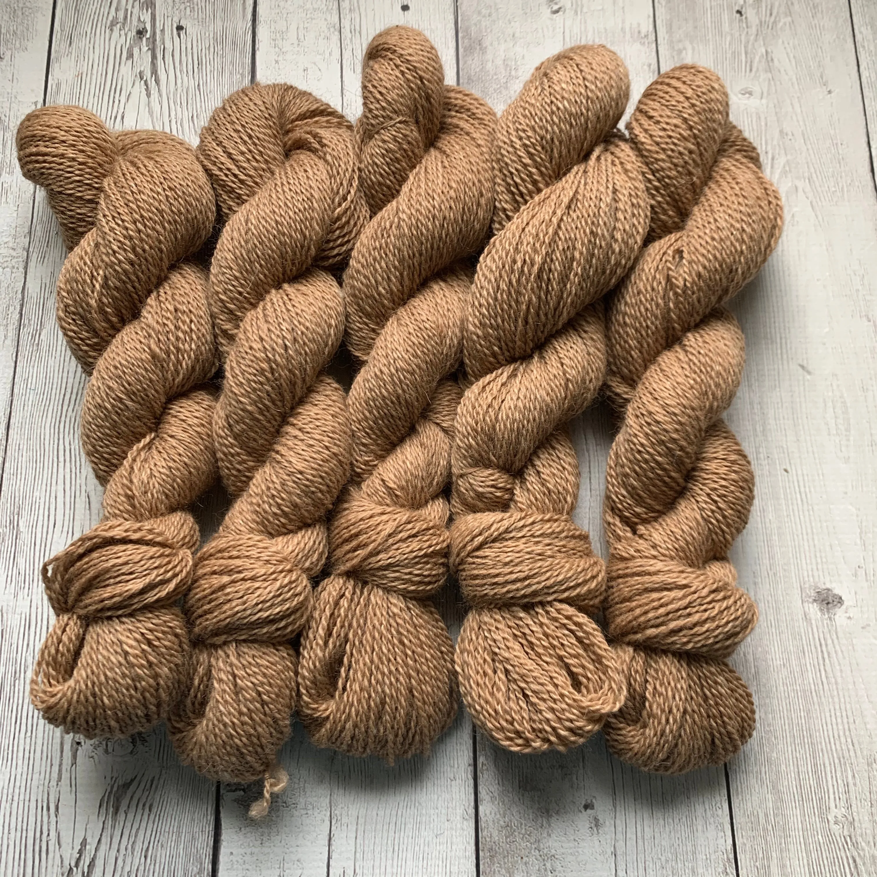 DK - Alma Park Exclusive Farm Yarn -  DK with Merino and Golden Tussah Silk 250 yds - Medium Fawn - "Sandy"