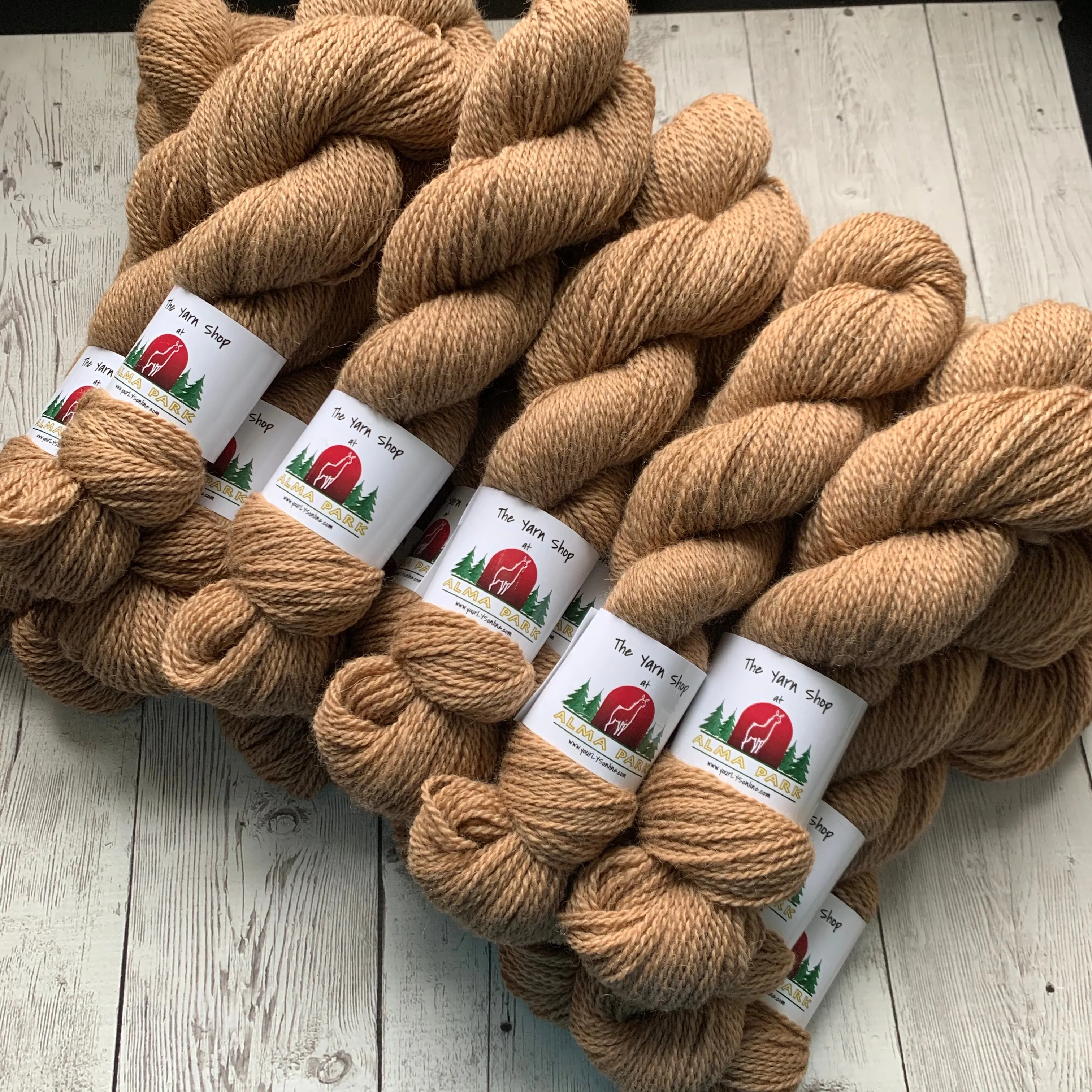 DK - Alma Park Exclusive Farm Yarn -  DK with Merino and Golden Tussah Silk 250 yds - Medium Fawn - "Sandy"