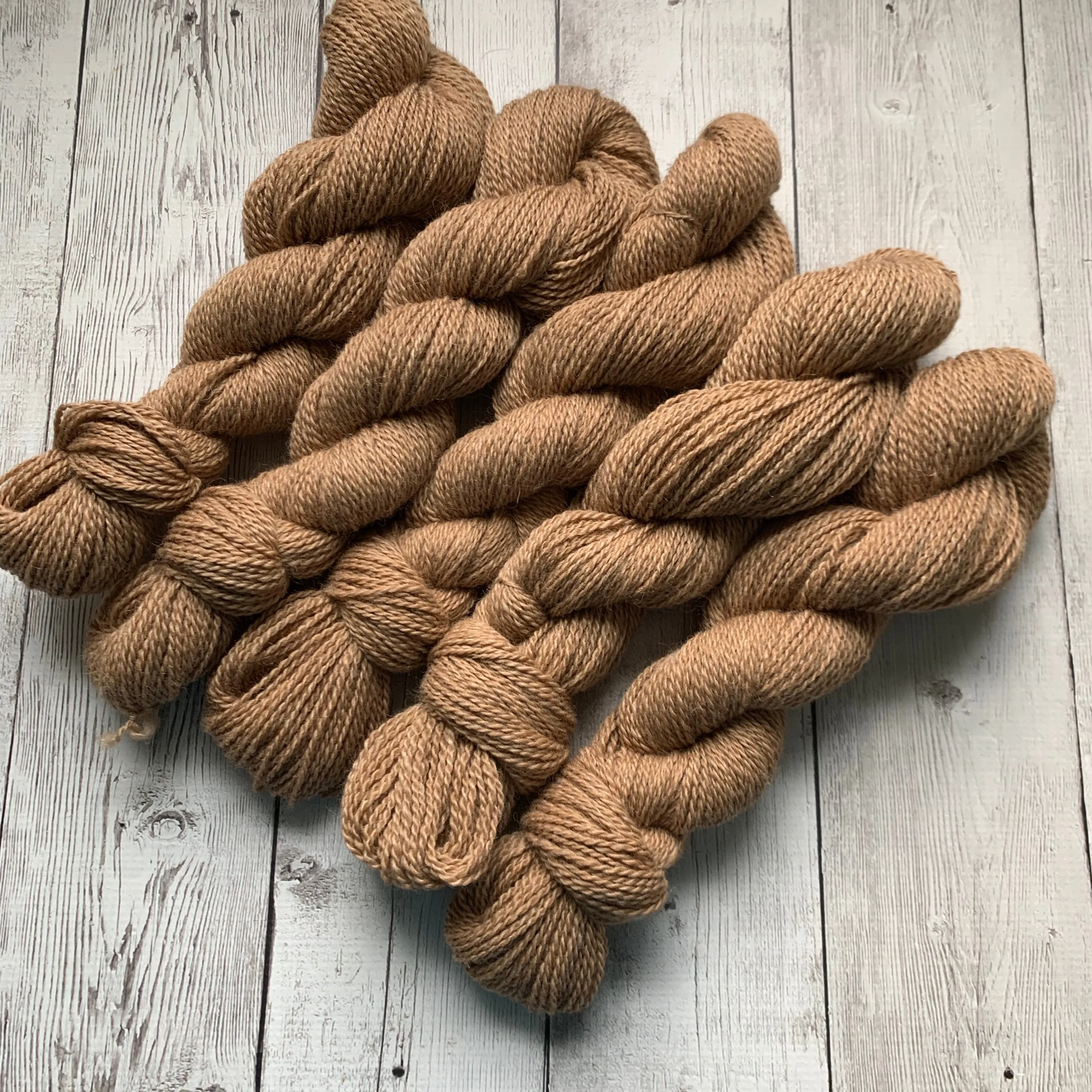 DK - Alma Park Exclusive Farm Yarn -  DK with Merino and Golden Tussah Silk 250 yds - Medium Fawn - "Sandy"