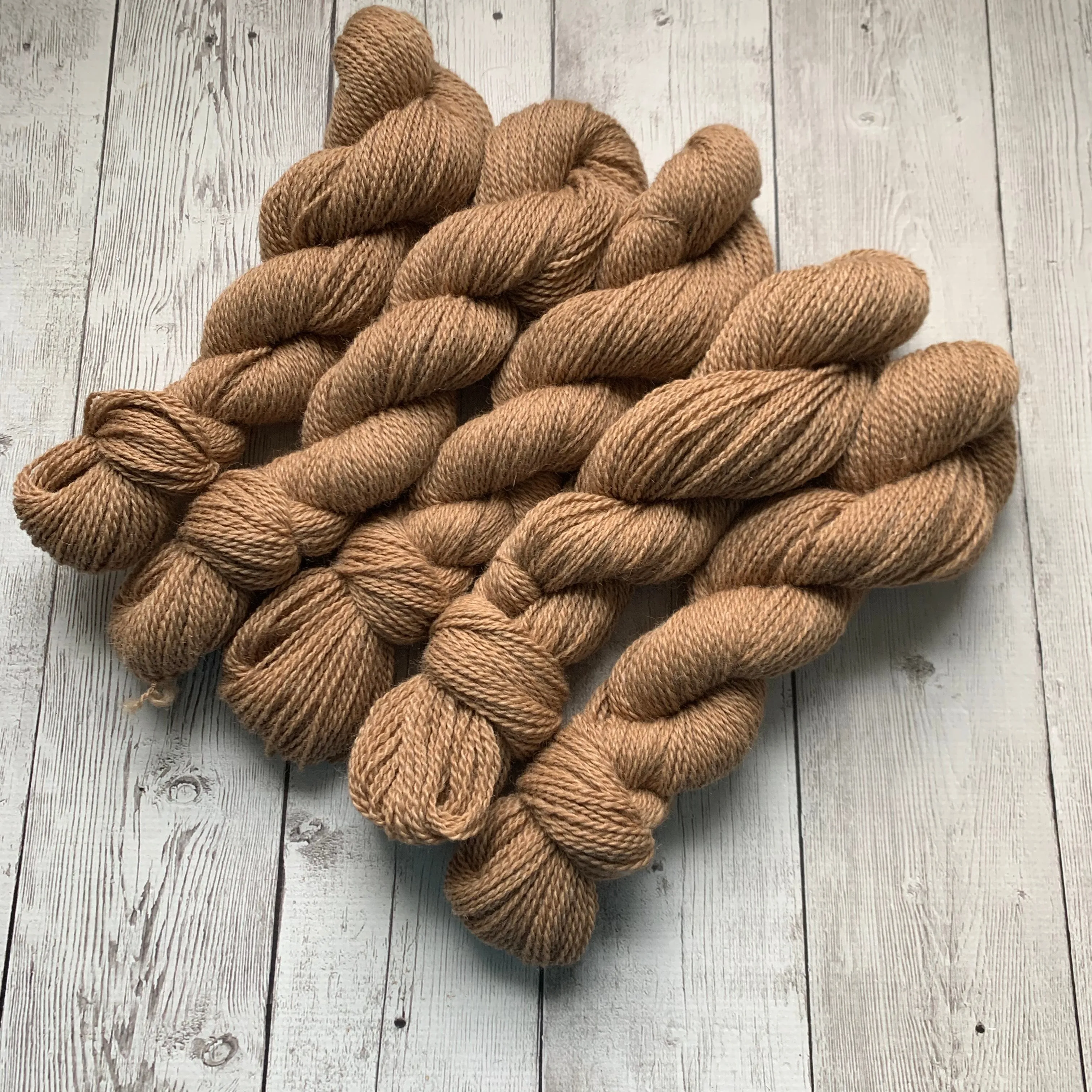 DK - Alma Park Exclusive Farm Yarn -  DK with Merino and Golden Tussah Silk 250 yds - Medium Fawn - "Sandy"
