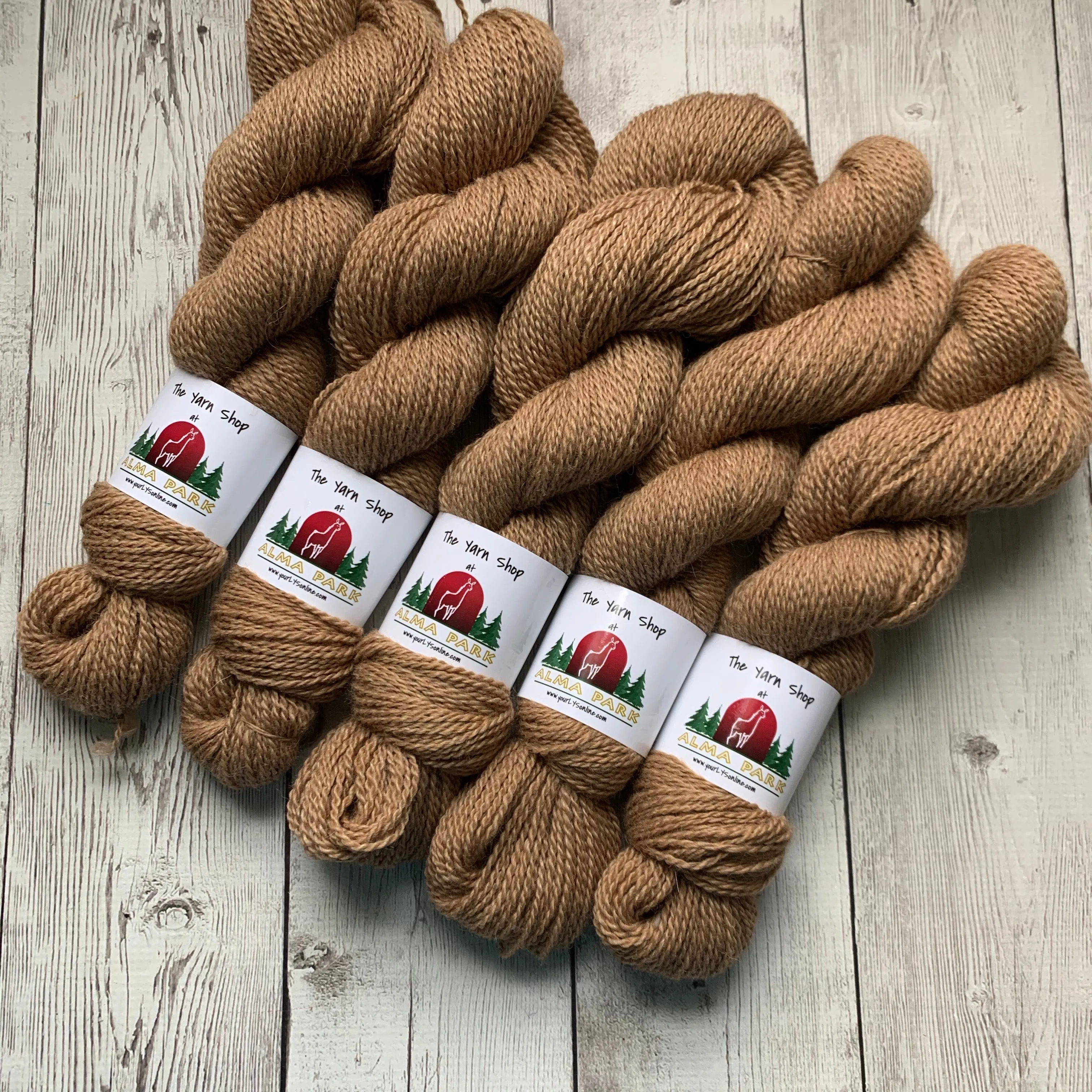 DK - Alma Park Exclusive Farm Yarn -  DK with Merino and Golden Tussah Silk 250 yds - Medium Fawn - "Sandy"