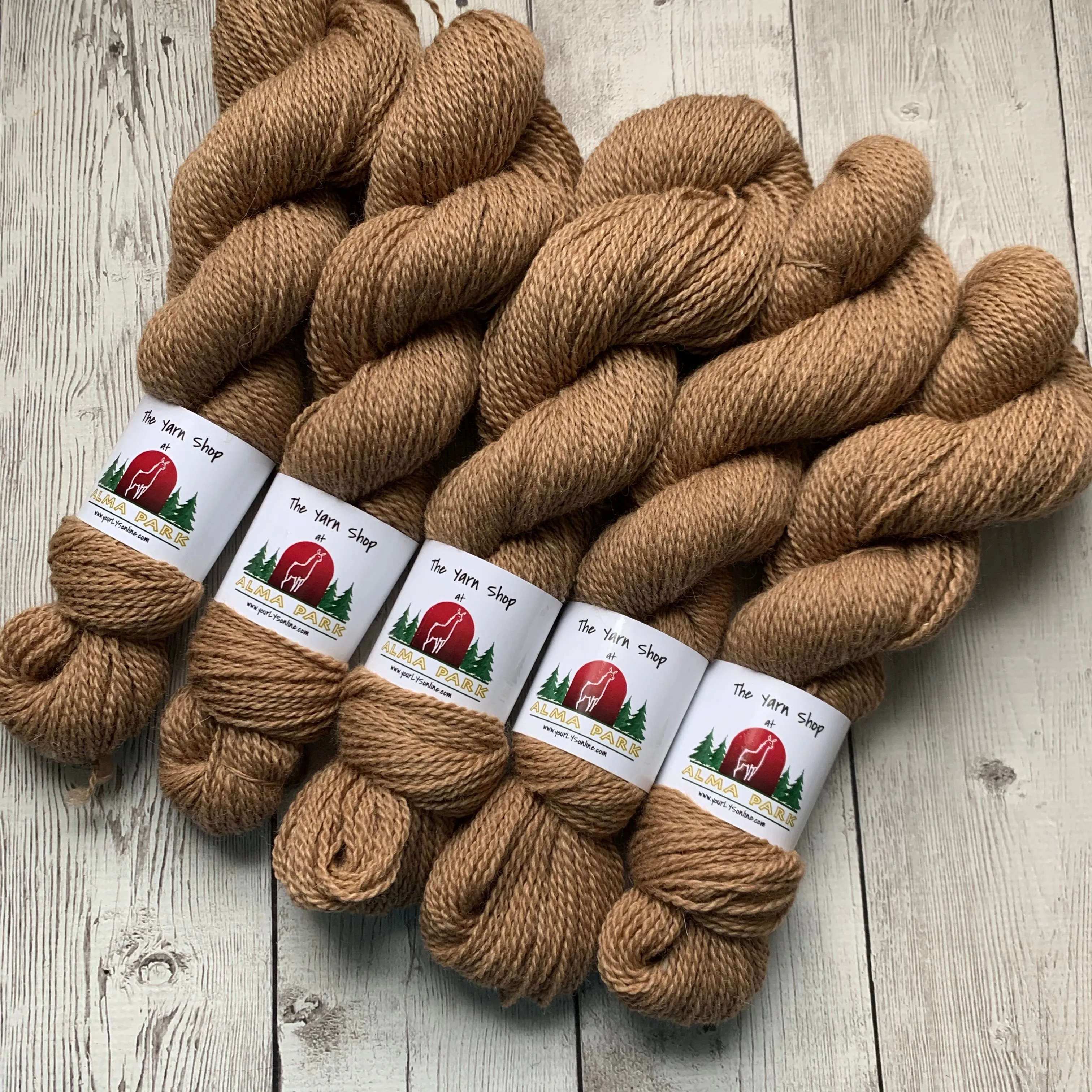 DK - Alma Park Exclusive Farm Yarn -  DK with Merino and Golden Tussah Silk 250 yds - Medium Fawn - "Sandy"