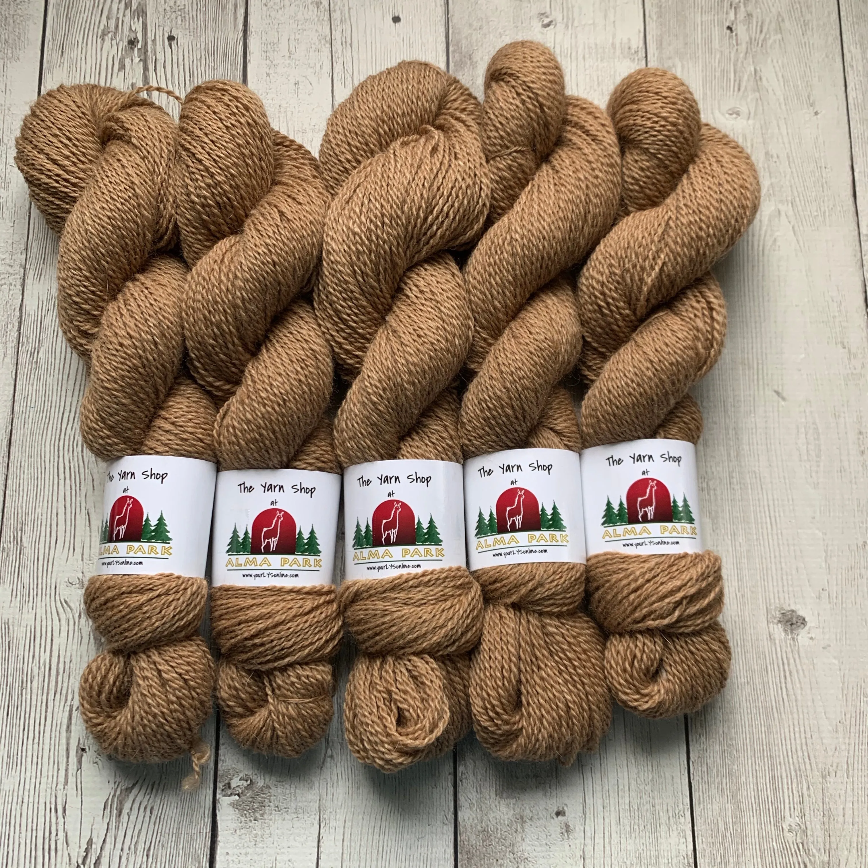 DK - Alma Park Exclusive Farm Yarn -  DK with Merino and Golden Tussah Silk 250 yds - Medium Fawn - "Sandy"