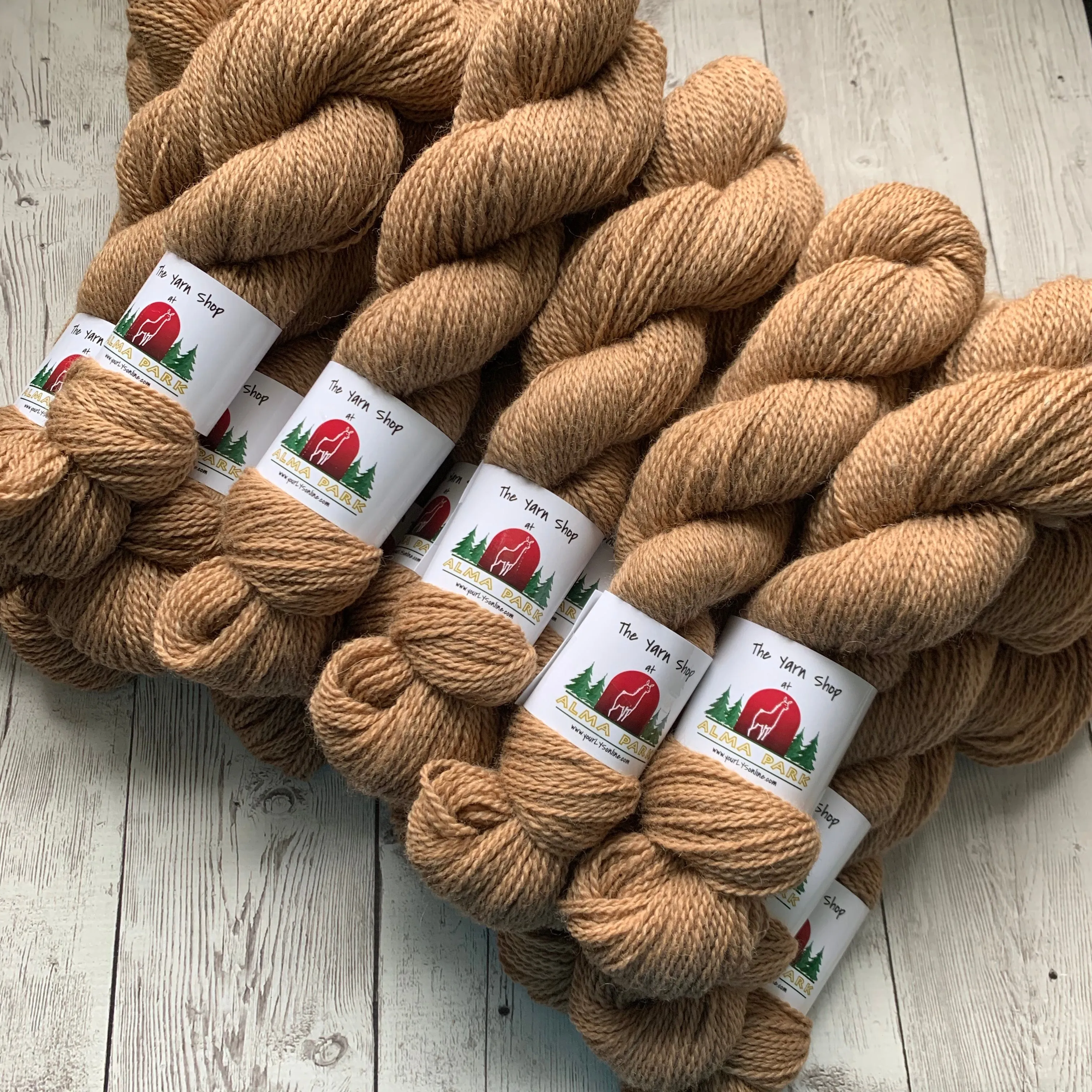DK - Alma Park Exclusive Farm Yarn -  DK with Merino and Golden Tussah Silk 250 yds - Medium Fawn - "Sandy"