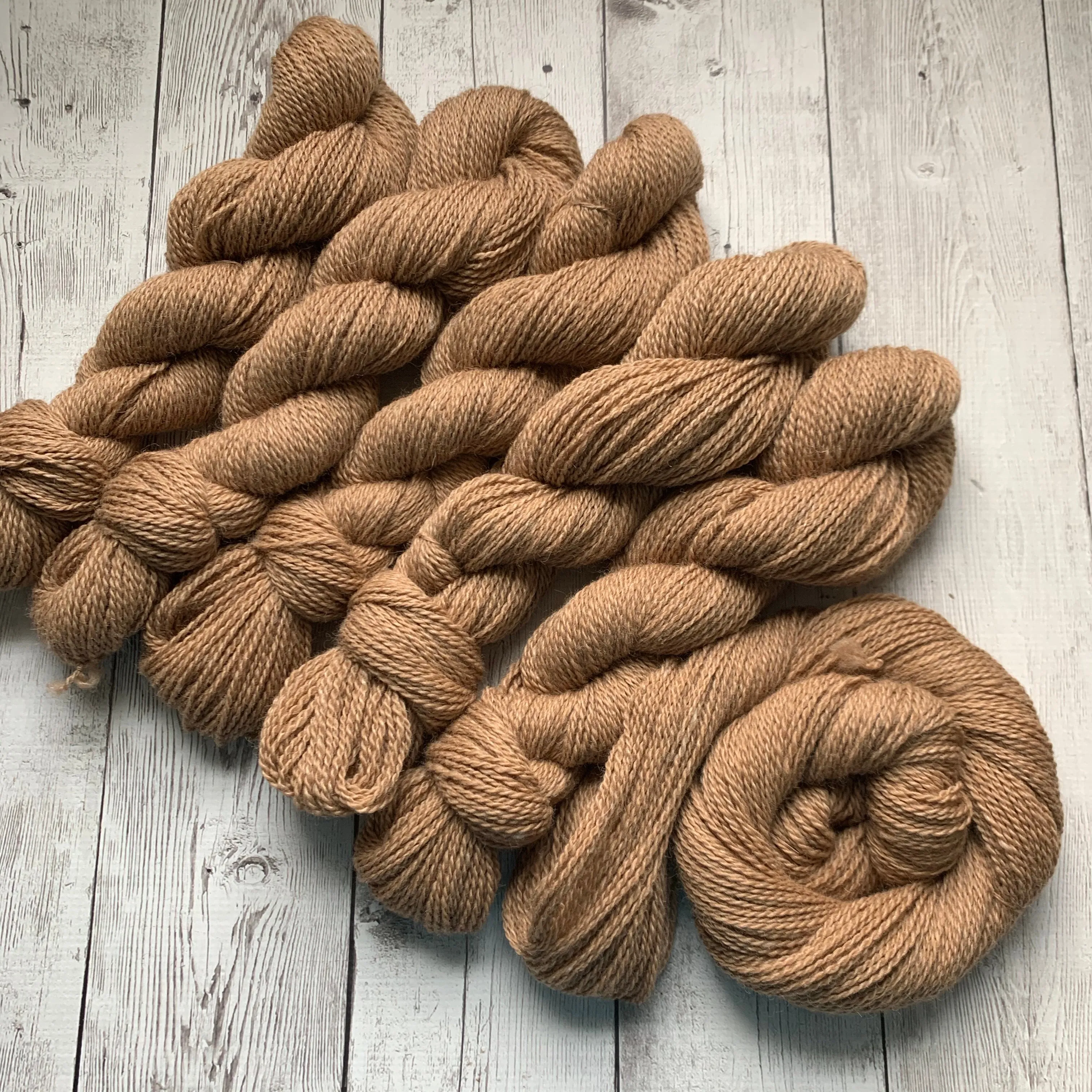DK - Alma Park Exclusive Farm Yarn -  DK with Merino and Golden Tussah Silk 250 yds - Medium Fawn - "Sandy"