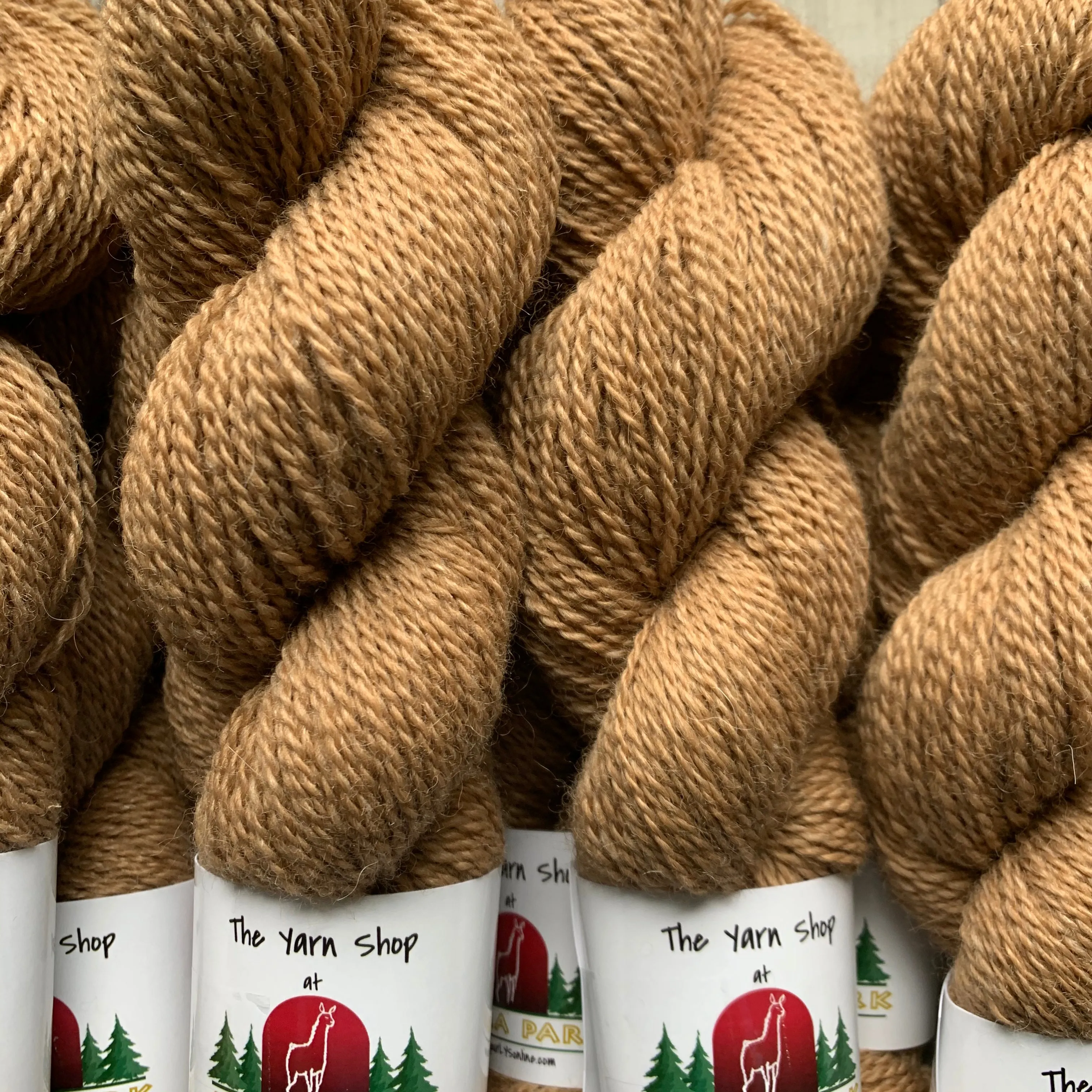 DK - Alma Park Exclusive Farm Yarn -  DK with Merino and Golden Tussah Silk 250 yds - Medium Fawn - "Sandy"