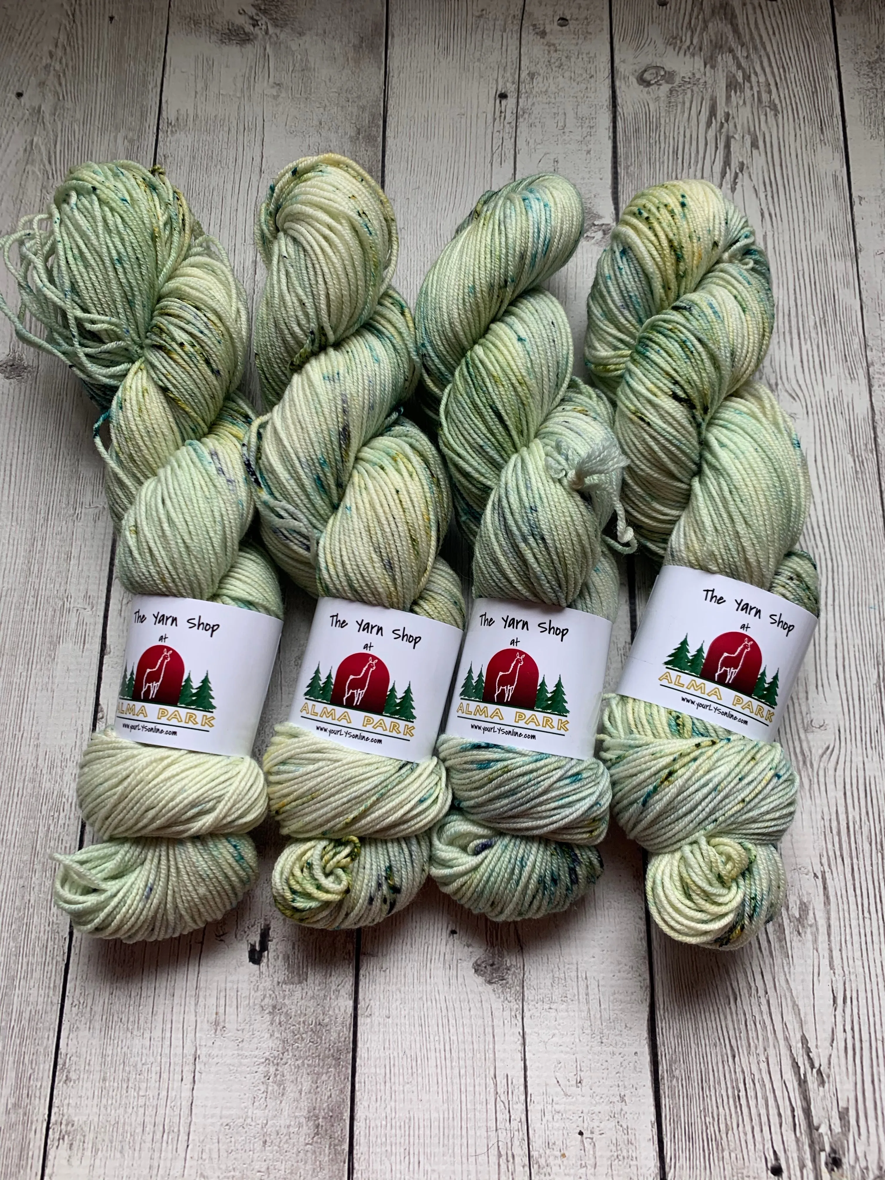 DK - ENGLISH GARDEN Kettle dyed Speckled - 274 yds RTS (020420)