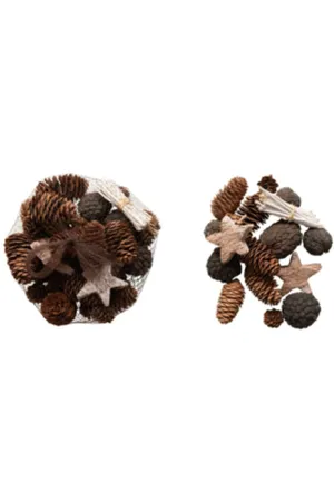 Dried Naturals Cones, Pods & Stars Set