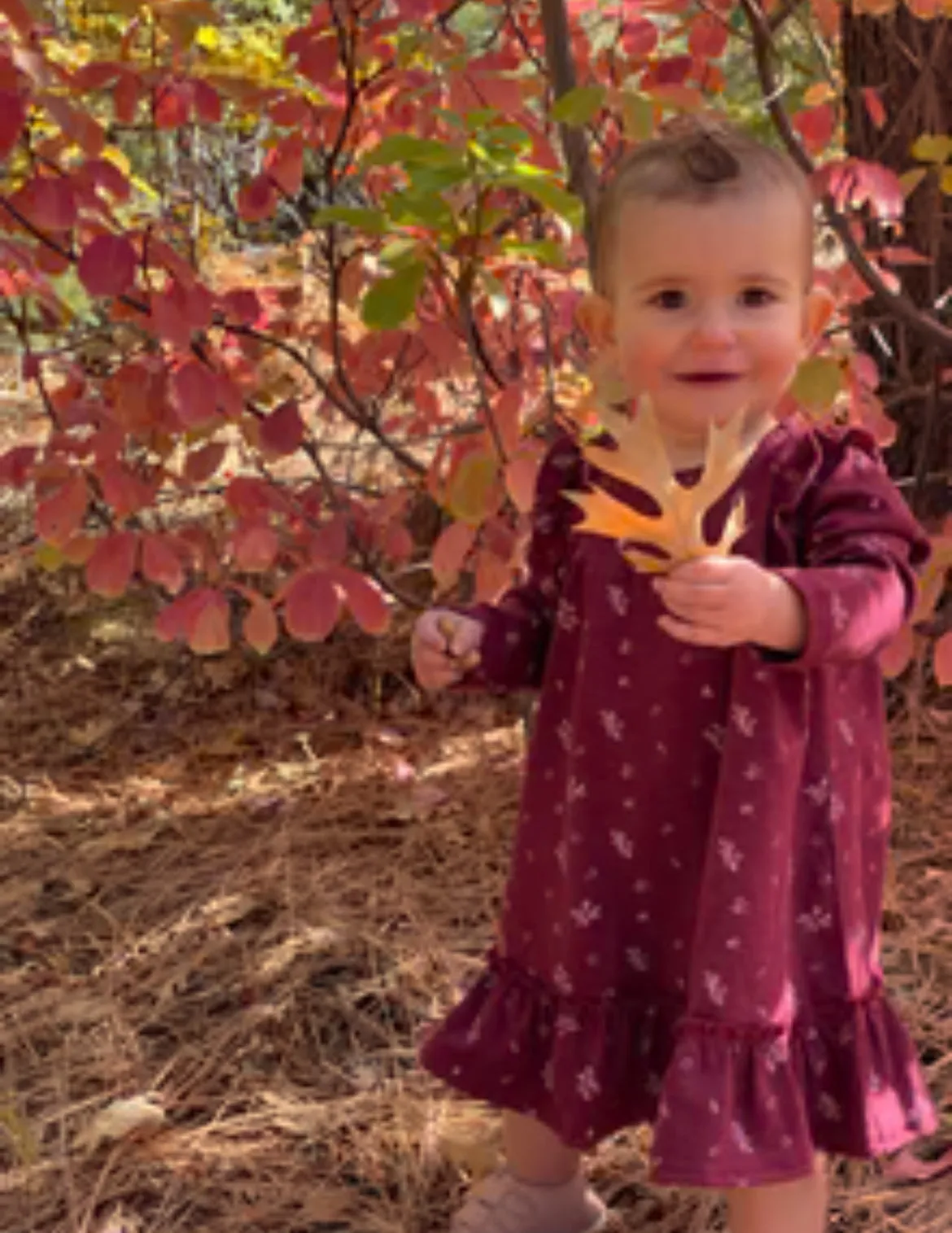 Ettie & H Burgundy Dress in Holly Pattern: Sizes NB to 18/24M